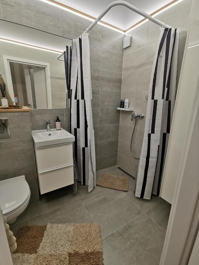 Buto Nuoma Dariaus Ir Gireno Gatveje Apartment *