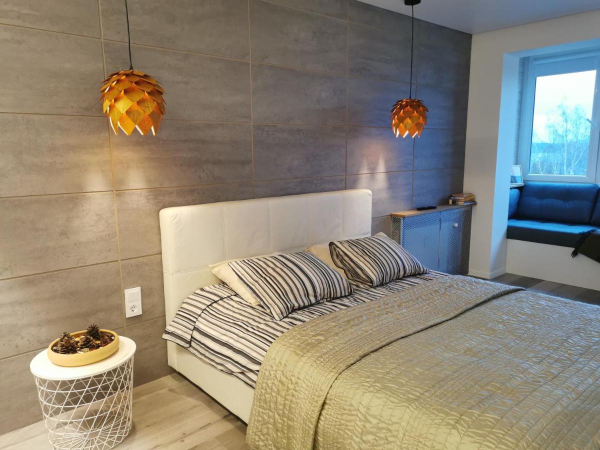 Buto Nuoma Dariaus Ir Gireno Gatveje Apartment